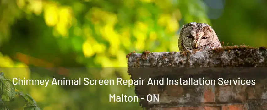  Chimney Animal Screen Repair And Installation Services Malton - ON