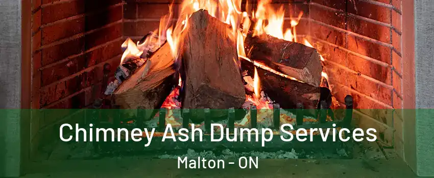  Chimney Ash Dump Services Malton - ON