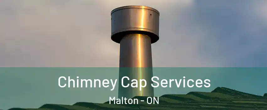  Chimney Cap Services Malton - ON