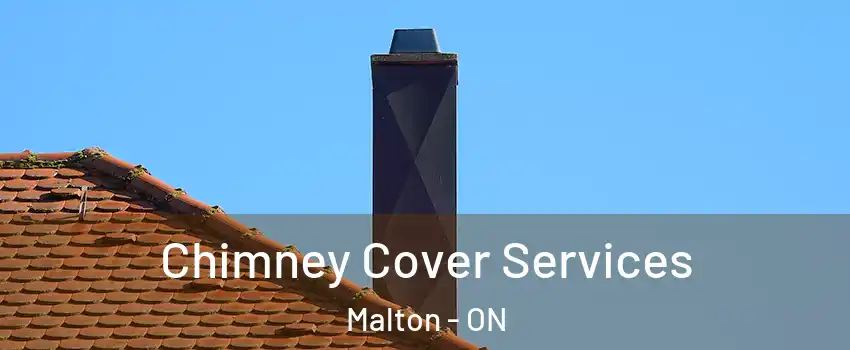  Chimney Cover Services Malton - ON