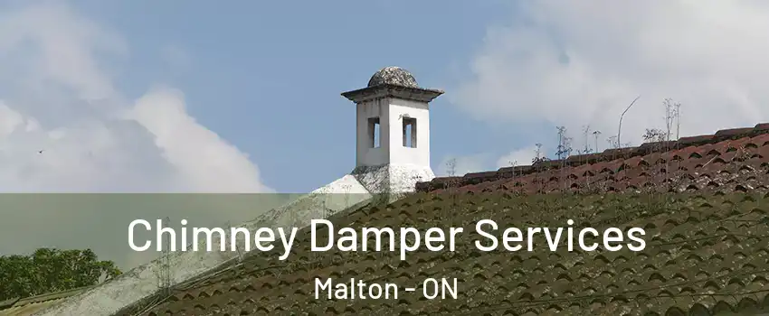  Chimney Damper Services Malton - ON