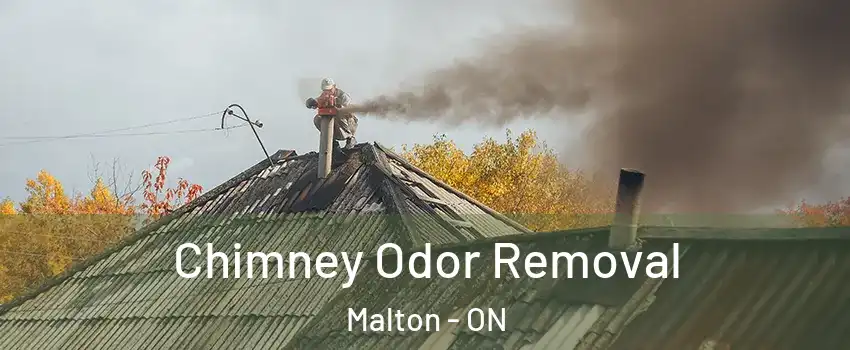  Chimney Odor Removal Malton - ON