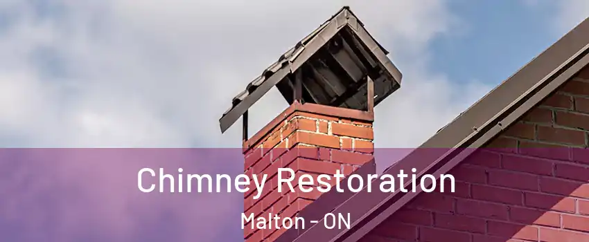  Chimney Restoration Malton - ON