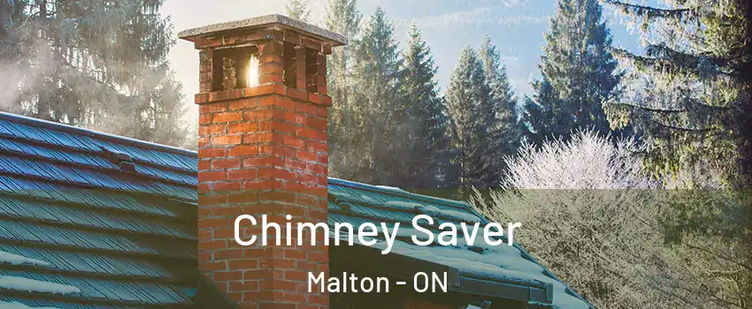  Chimney Saver Malton - ON