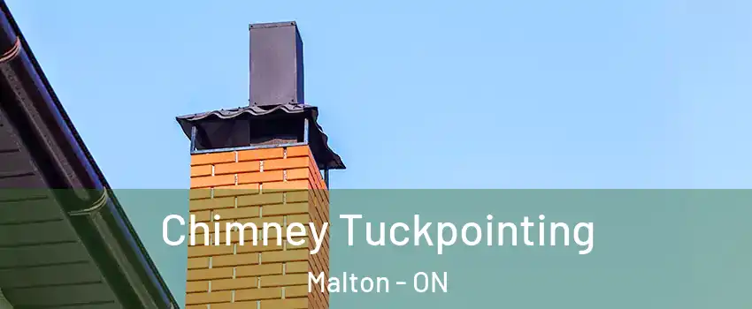  Chimney Tuckpointing Malton - ON