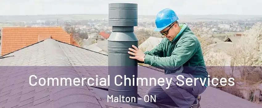  Commercial Chimney Services Malton - ON