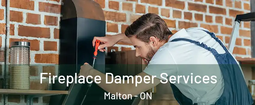  Fireplace Damper Services Malton - ON