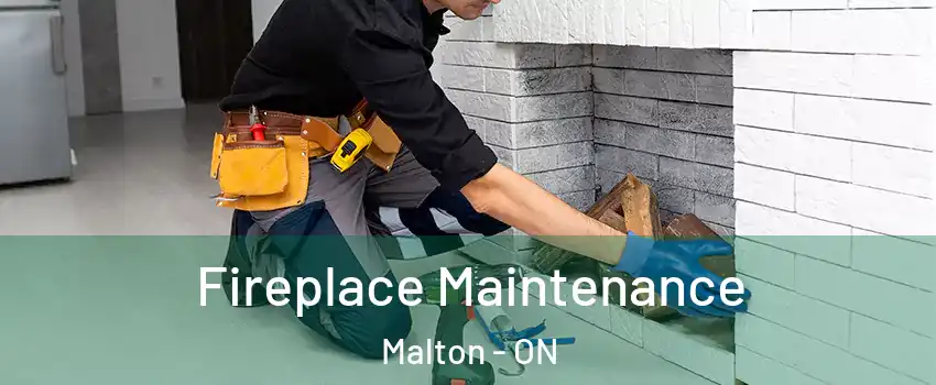  Fireplace Maintenance Malton - ON