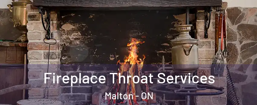  Fireplace Throat Services Malton - ON