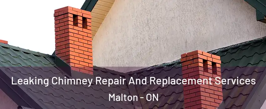 Leaking Chimney Repair And Replacement Services Malton - ON