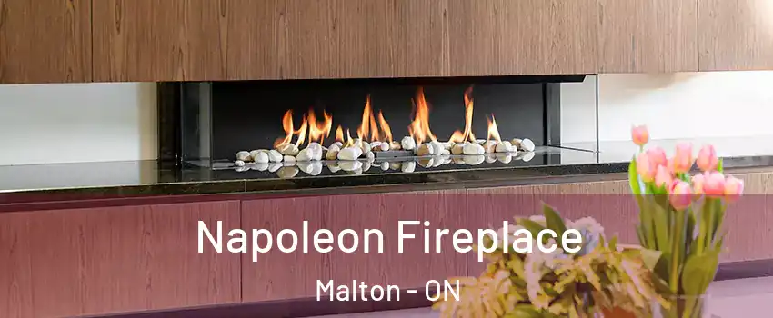  Napoleon Fireplace Malton - ON